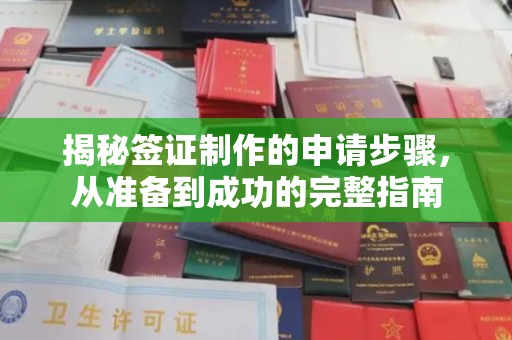 建始揭秘签证制作的申请步骤，从准备到成功的完整指南
